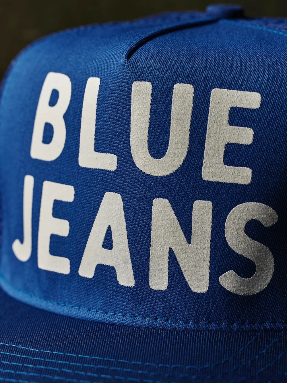 Imogene + Willie Trucker hat, NWOT